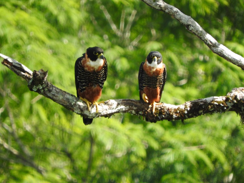 67 Parque Nacional Tikal